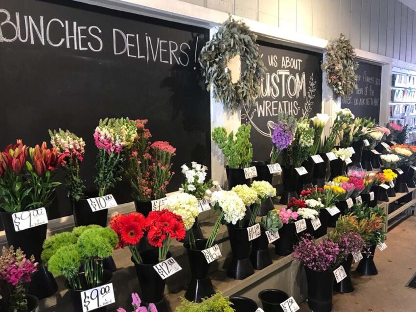 Shop Visit Los Gatos