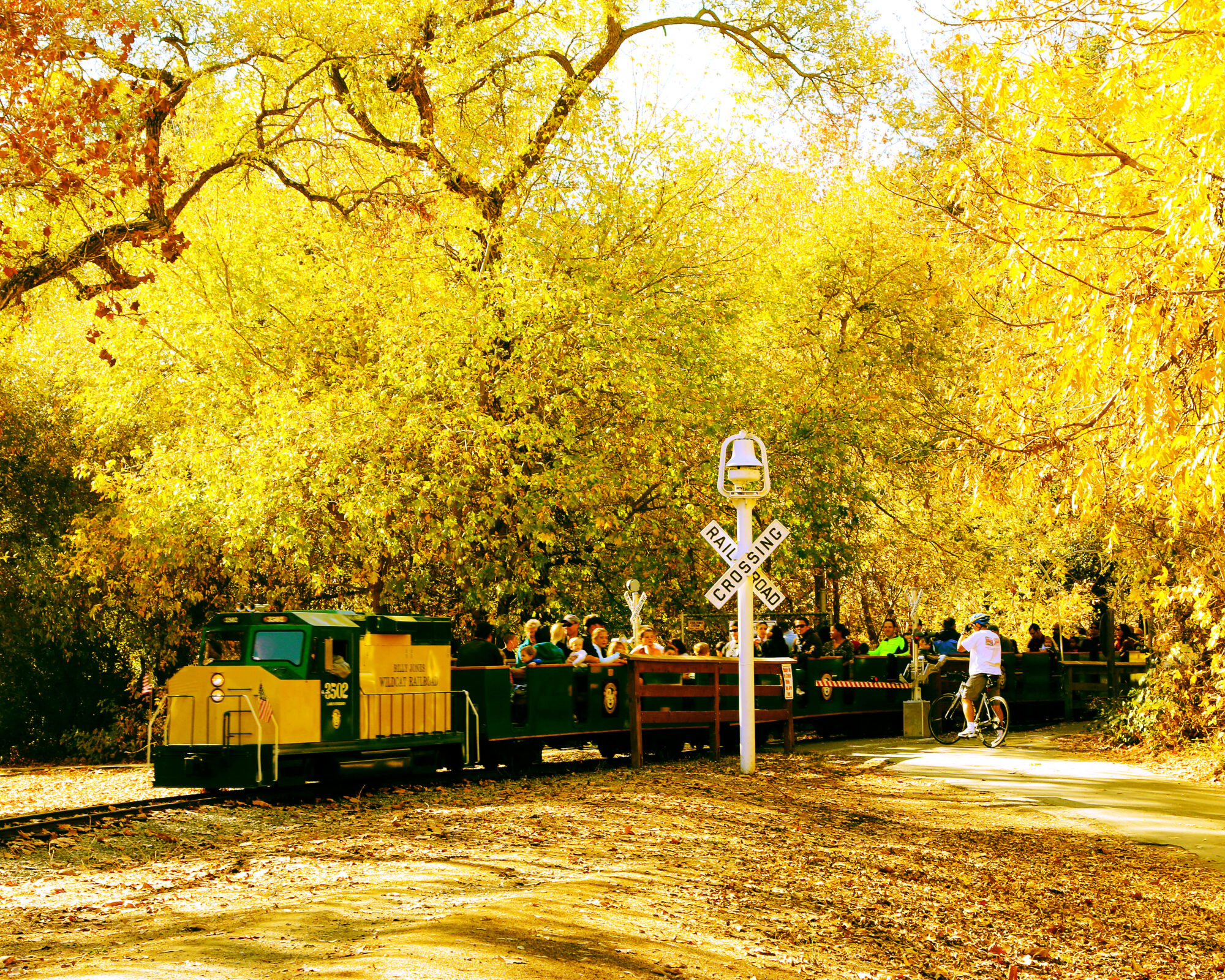 Family Fun Visit Los Gatos